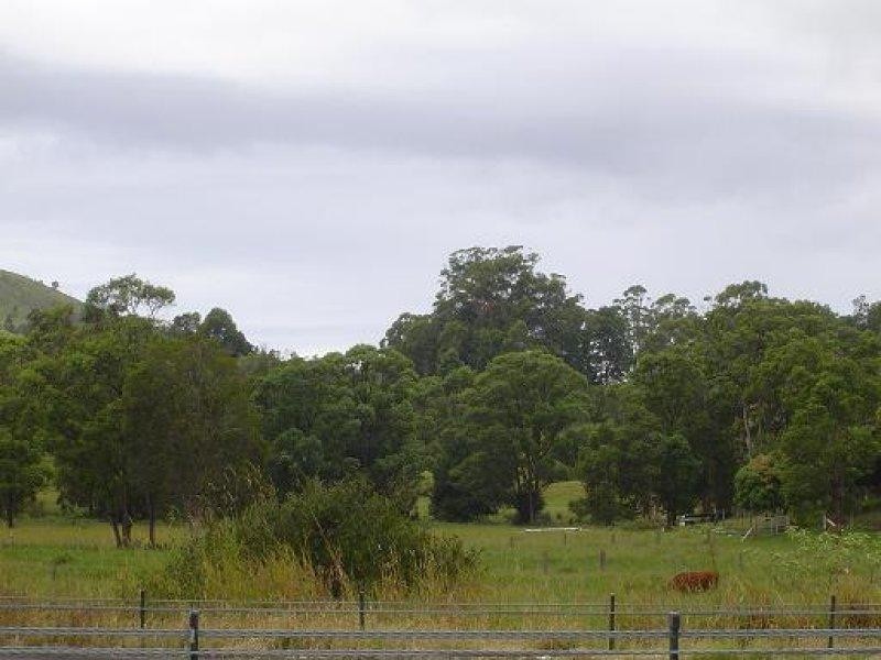 Round Mountain NSW 2484