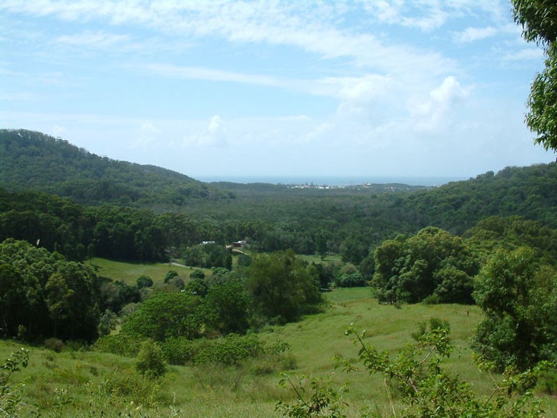 Round Mountain NSW 2484