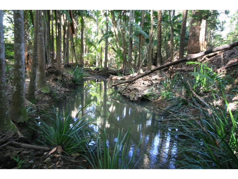 Round Mountain NSW 2484