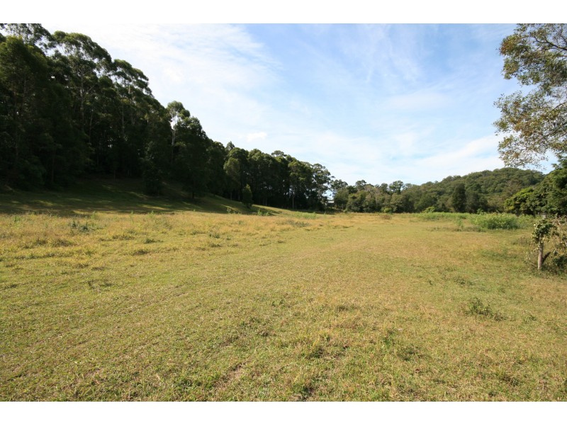 Round Mountain NSW 2484