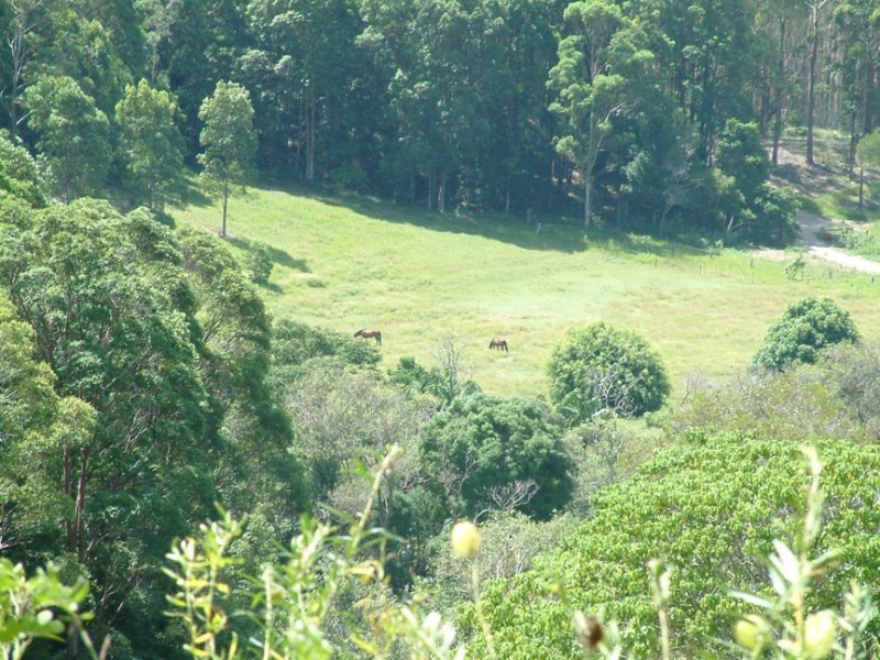 Round Mountain NSW 2484