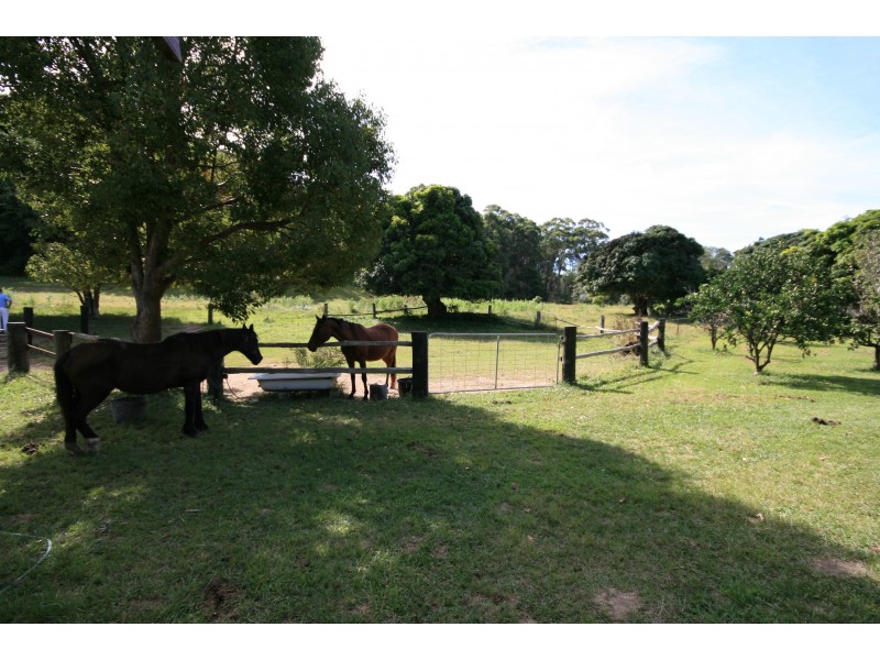 Round Mountain NSW 2484