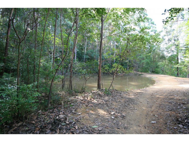 Round Mountain NSW 2484