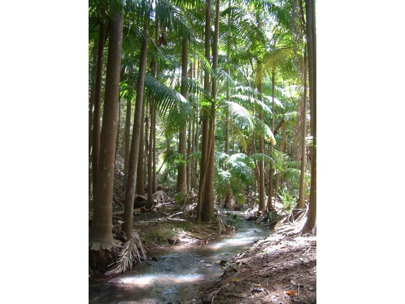 Round Mountain NSW 2484