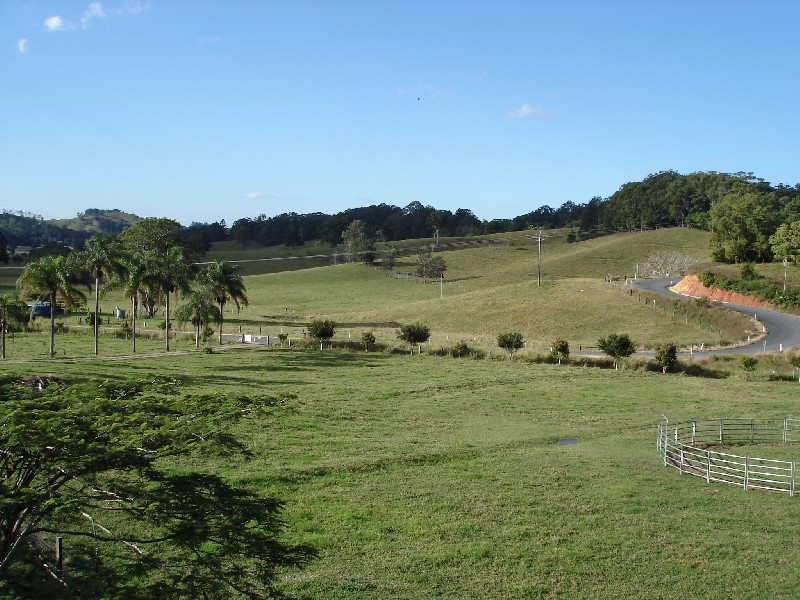 Reserve Creek NSW 2484