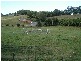 Reserve Creek NSW 2484