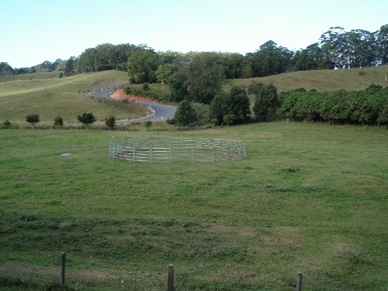 Reserve Creek NSW 2484