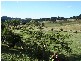Reserve Creek NSW 2484
