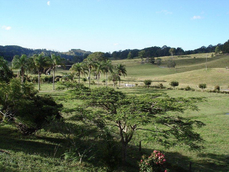 Reserve Creek NSW 2484