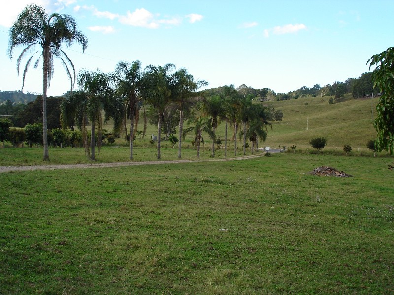 Reserve Creek NSW 2484