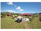 Murwillumbah NSW 2484