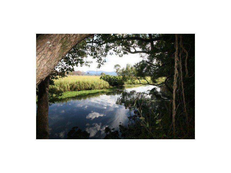 Murwillumbah NSW 2484