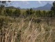 Murwillumbah NSW 2484