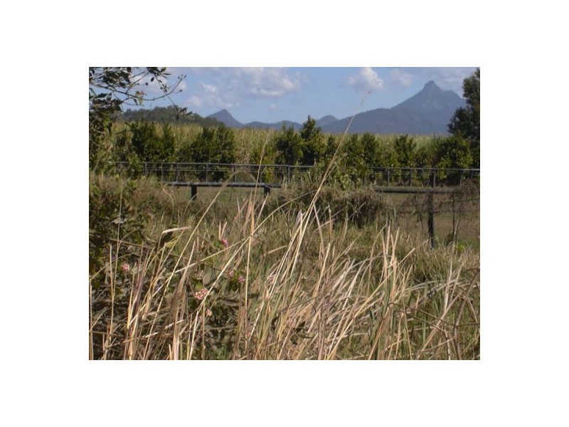 Murwillumbah NSW 2484