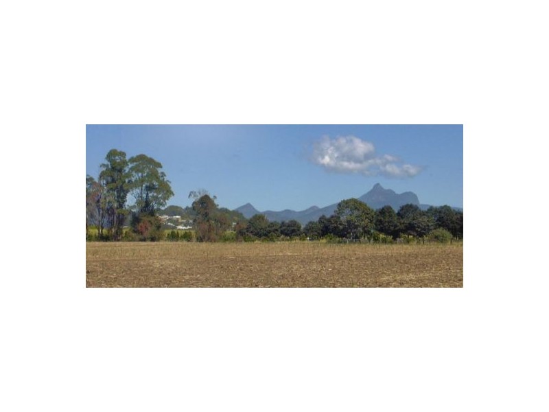Murwillumbah NSW 2484