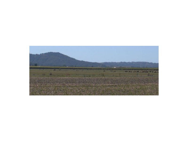 Murwillumbah NSW 2484
