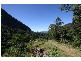 Murwillumbah NSW 2484