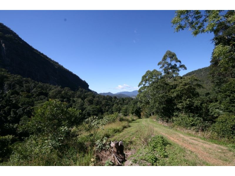 Murwillumbah NSW 2484