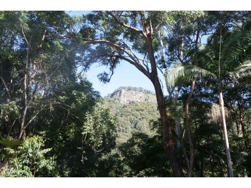 Murwillumbah NSW 2484