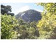 Murwillumbah NSW 2484