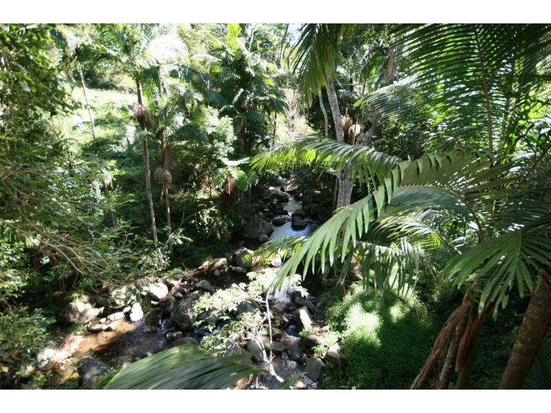 Murwillumbah NSW 2484