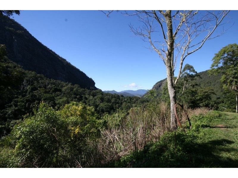 Murwillumbah NSW 2484