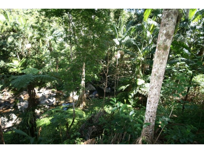 Murwillumbah NSW 2484
