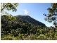 Murwillumbah NSW 2484