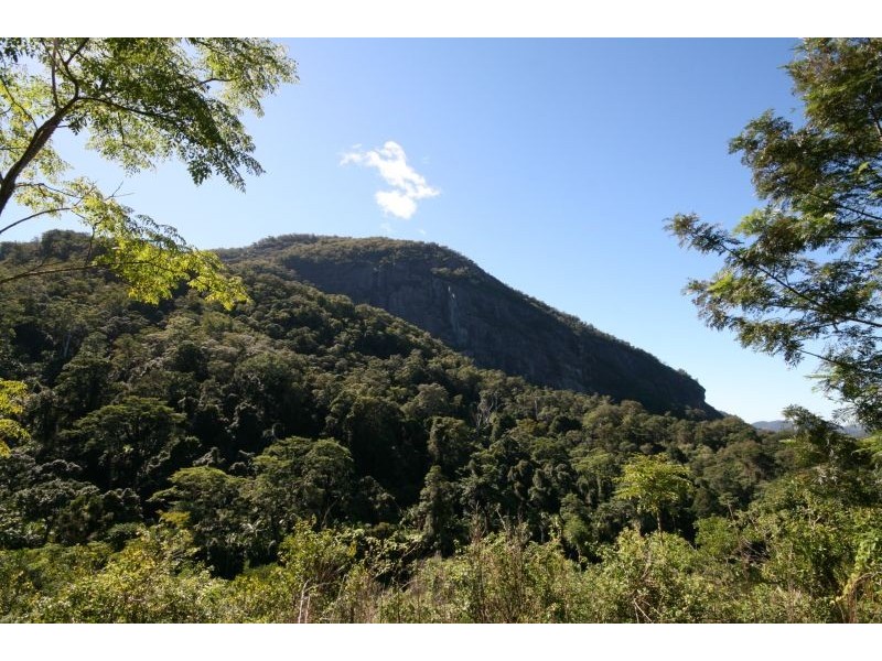 Murwillumbah NSW 2484