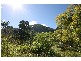 Murwillumbah NSW 2484