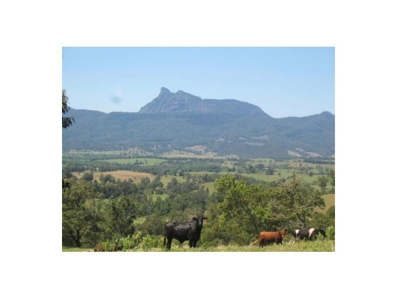 Tyalgum NSW 2484