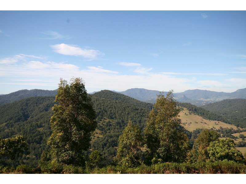 Byrrill Creek NSW 2484