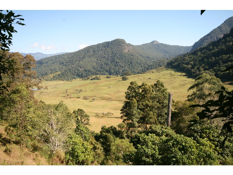 Byrrill Creek NSW 2484