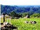 Mullumbimby NSW 2482