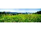Mullumbimby NSW 2482