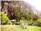 Mullumbimby NSW 2482
