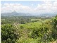 Kielvale NSW 2484
