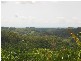 Kielvale NSW 2484