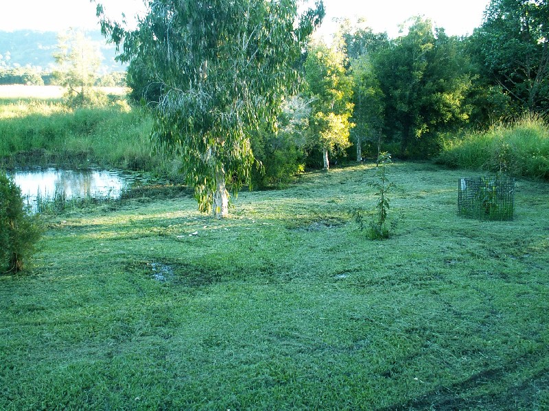 Mullumbimby NSW 2482