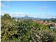 Murwillumbah NSW 2484