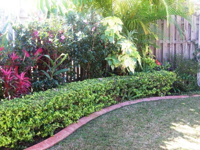 Tweed Heads South NSW 2486