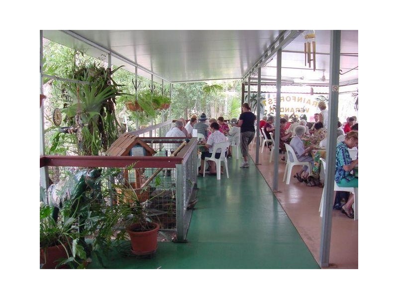 Crystal Creek NSW 2484