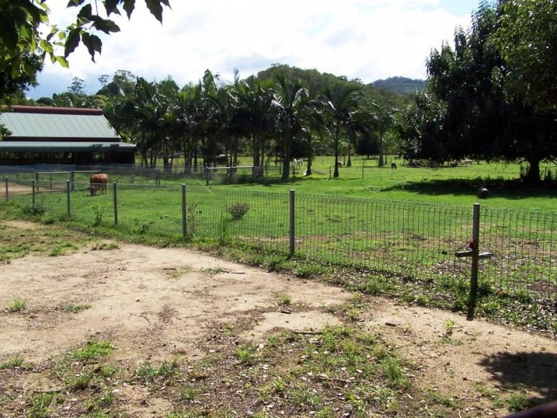 Crystal Creek NSW 2484