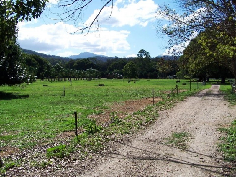 Crystal Creek NSW 2484