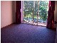 Pottsville NSW 2489