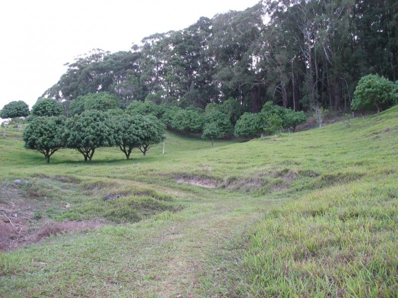 Cabarita Beach NSW 2488