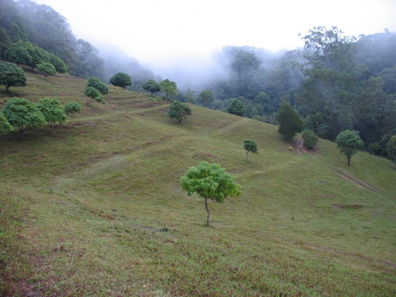Cabarita Beach NSW 2488