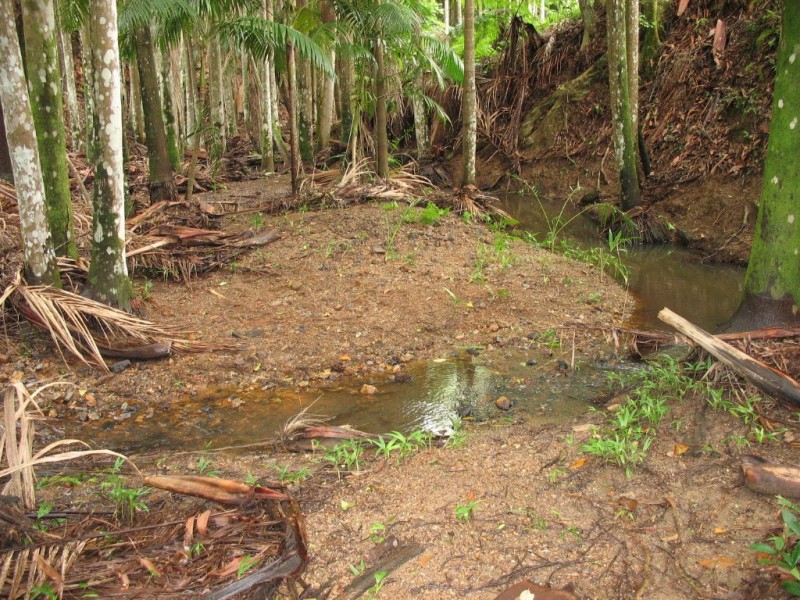 Cabarita Beach NSW 2488