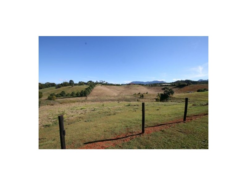 Murwillumbah NSW 2484