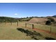 Murwillumbah NSW 2484